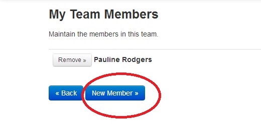Creating and online team